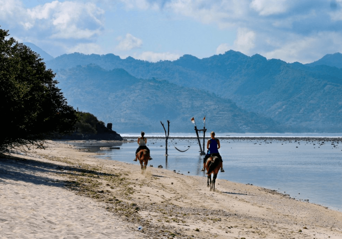 <a href="https://kokomogilit.com/experiences/activities/" class="details-link">Horse Riding</a>