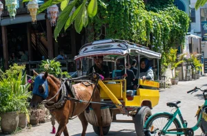 Cidomo gili trawangan